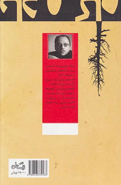 باد و کاه